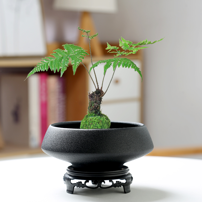 【新客立减】苔藓球托盘花盆陶瓷盆中式亚光桌面摆件水培米竹菖蒲