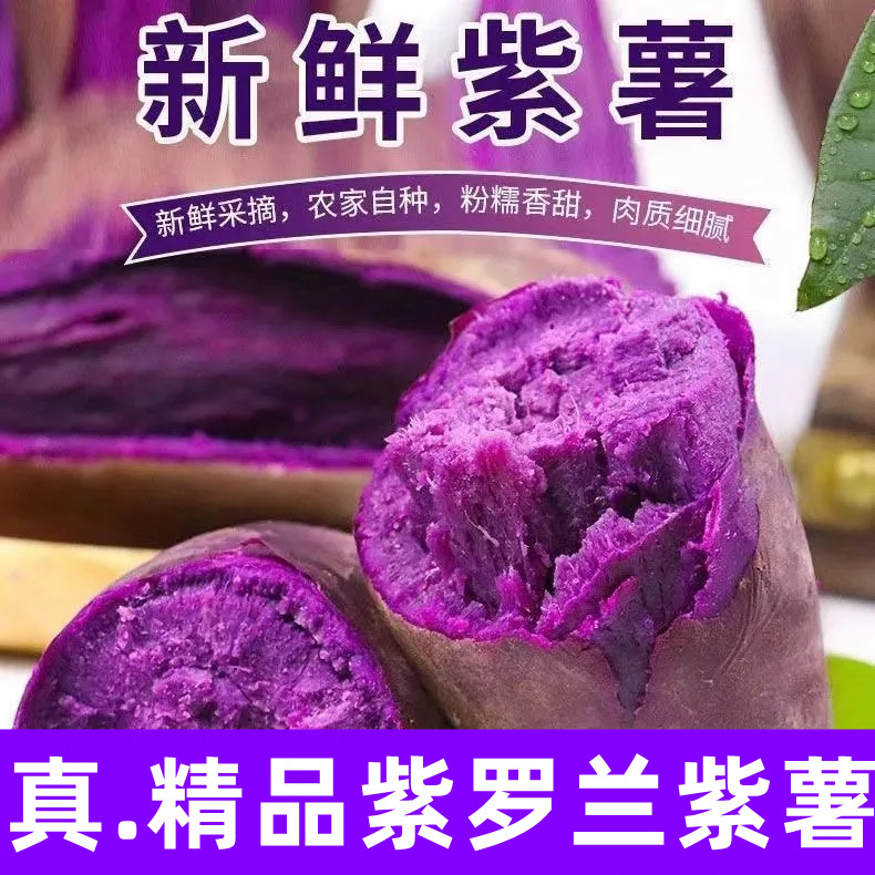 【新鲜沙地紫薯】正宗紫罗兰紫红薯蜜薯番薯地瓜粗粮代餐