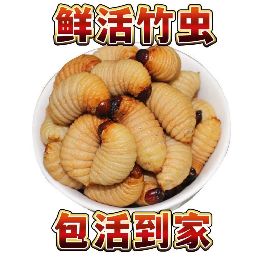 【四川直发包活到家】竹笋虫蛹 儿时味道 虫子美食 下酒下饭 高蛋白