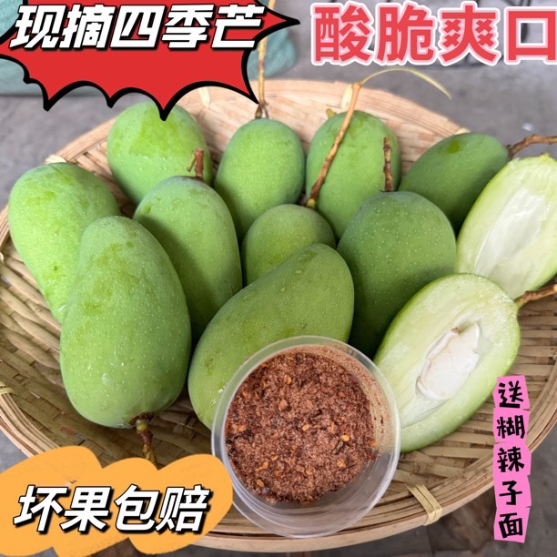 云南特产生吃三年芒四季芽象牙芒现摘孕妇酸脆爽口送傣家糊辣椒面