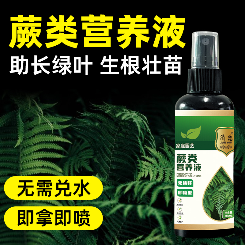 蕨类专用肥营养液桫椤肥料铁线蕨液体肥金丝蕨营养液毛蕨鹿角蕨类