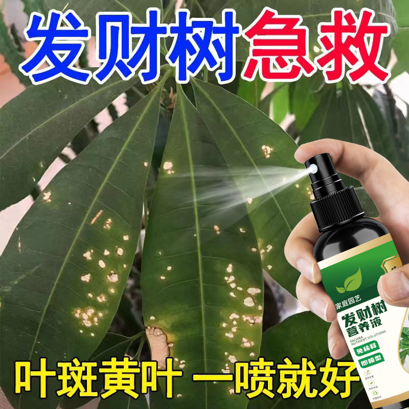 【绿叶宝】发财树叶斑专用营养液叶子发黄起斑烂根促生长通用肥料