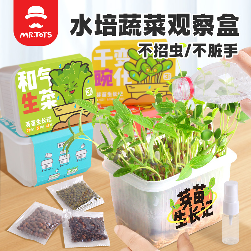 儿童种植无土水培阳光种植玩具科学小实验植物生长观察盒桌面摆件