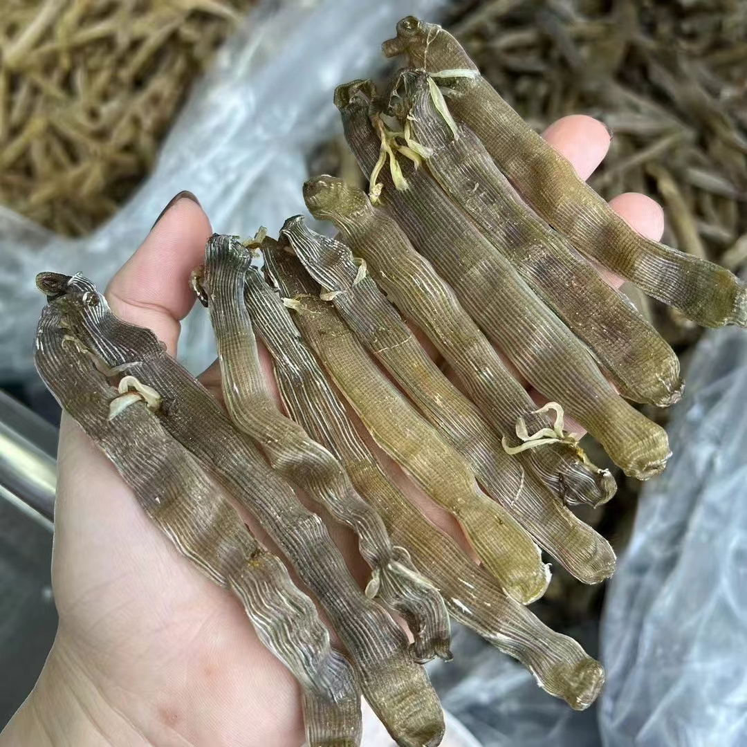 本港野生黑沙虫干煲汤鲜甜