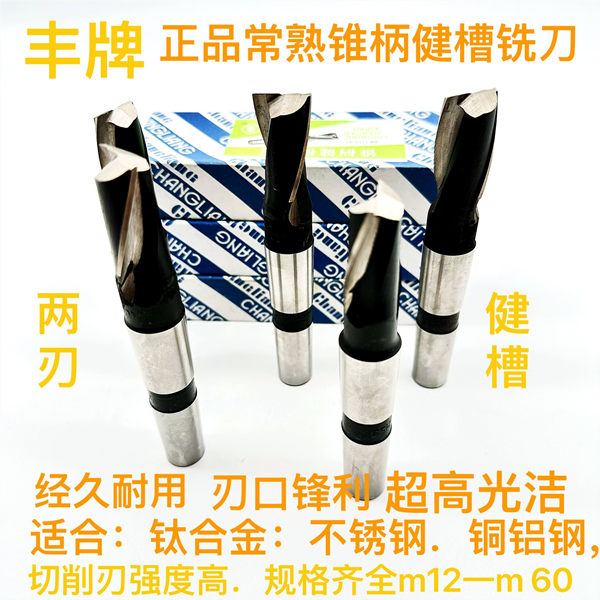 常熟丰牌锥柄键槽铣刀两刃高速钢合金铣键槽超硬白钢铣刀