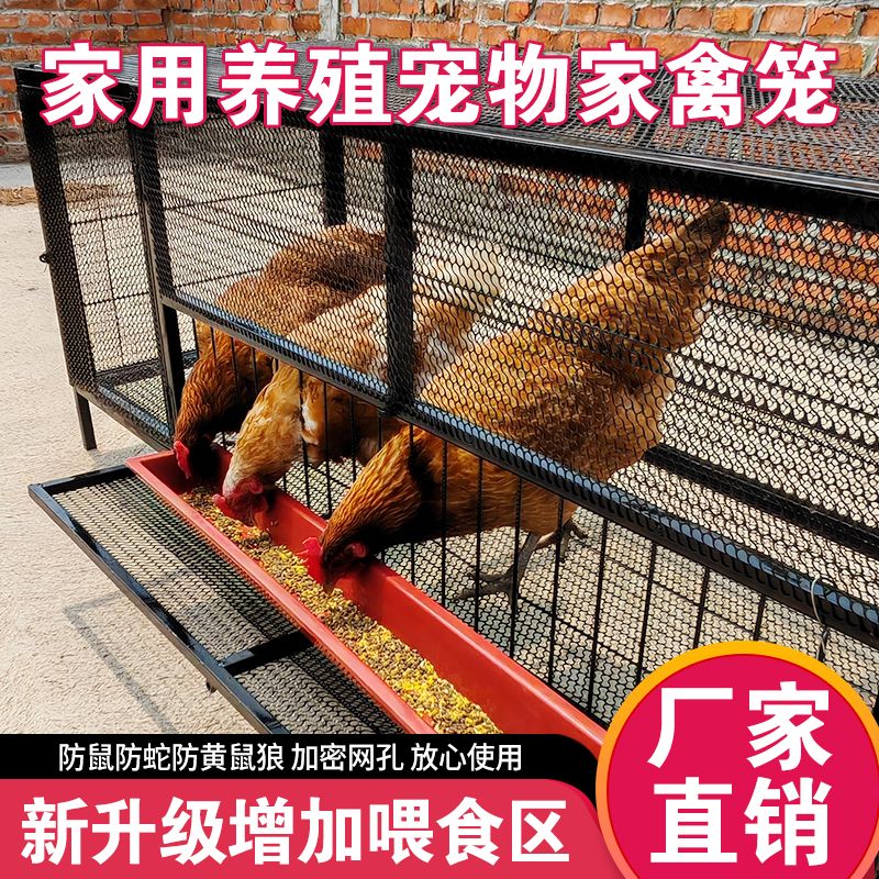 处理鸭笼户外专用直销户外型鸡笼子养鸡专用20鸡笼特大号清仓处理