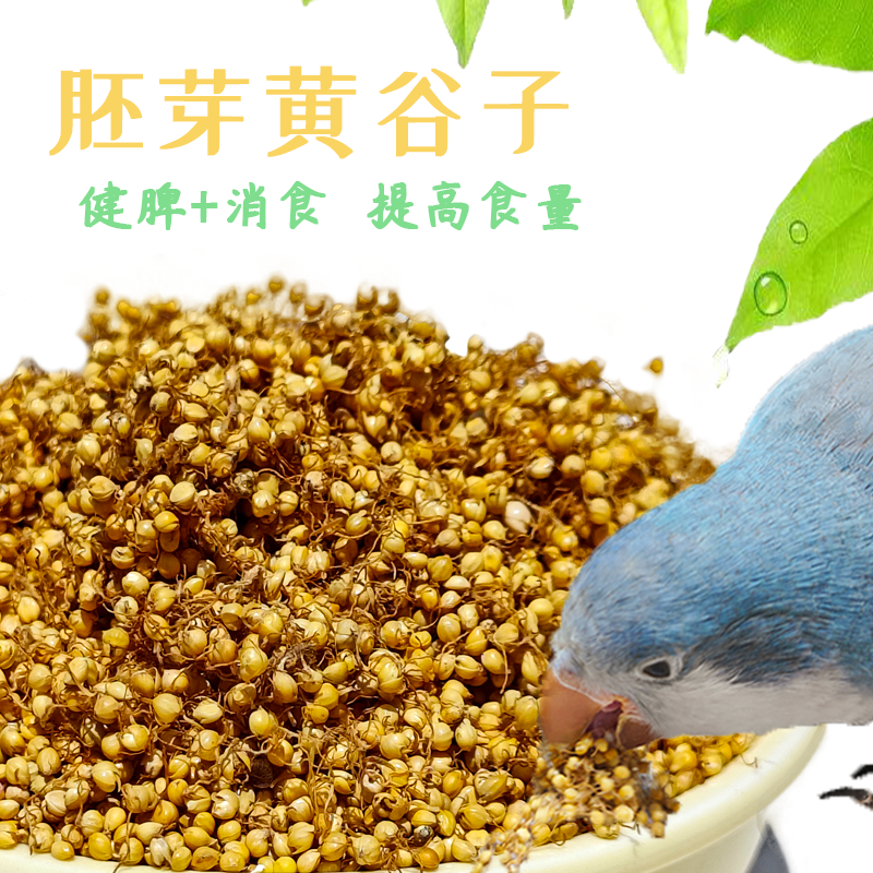 鹦鹉胚芽零系列虎皮牡丹玄凤和尚小太阳鹦鹉零食优选产品颗粒添加