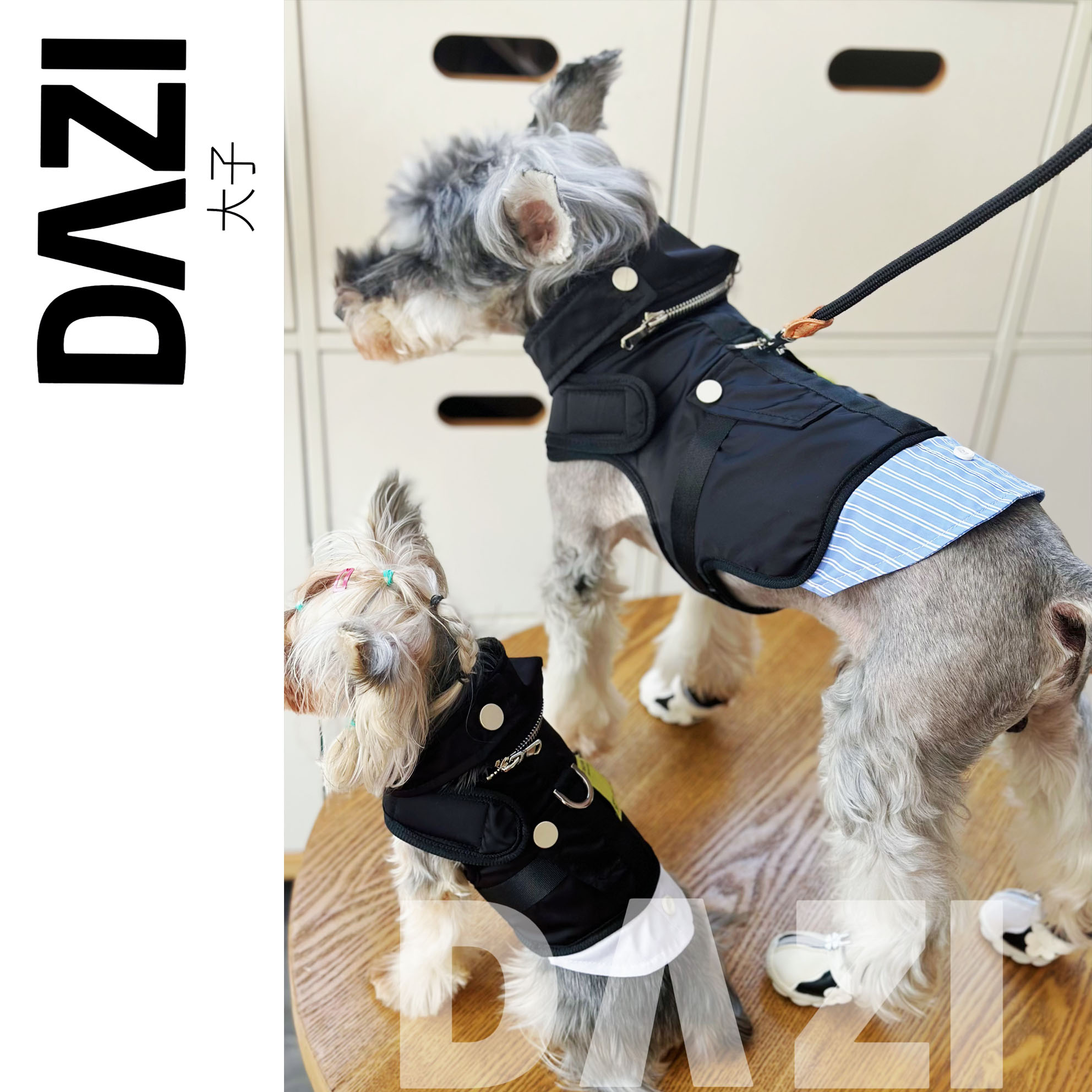 大子原创宠物猫狗外出牵引服装春秋风可拆卸衣款