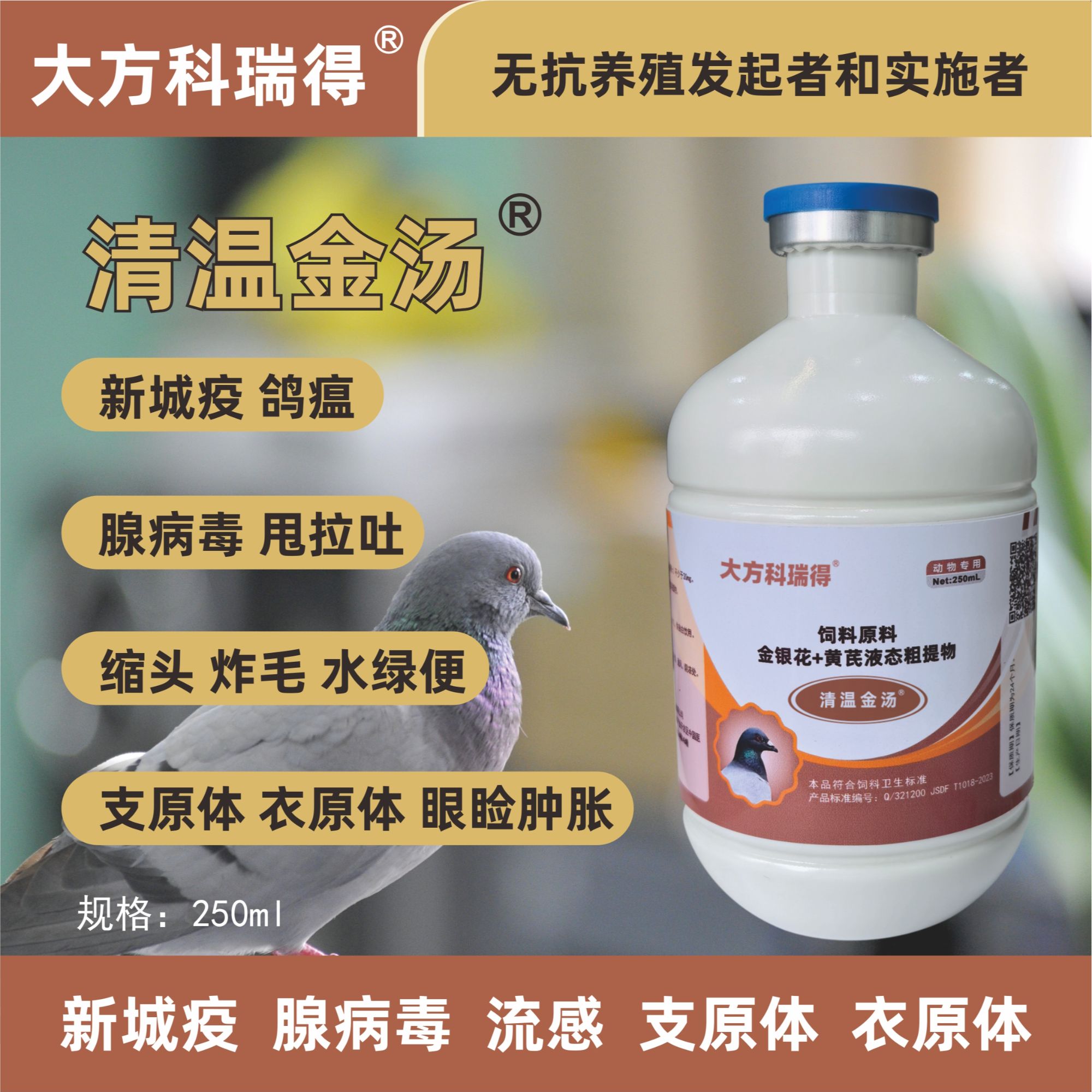大方科瑞得清温金汤赛鸽种鸽幼鸽纯植物提取品质产品鹦鹉宠物