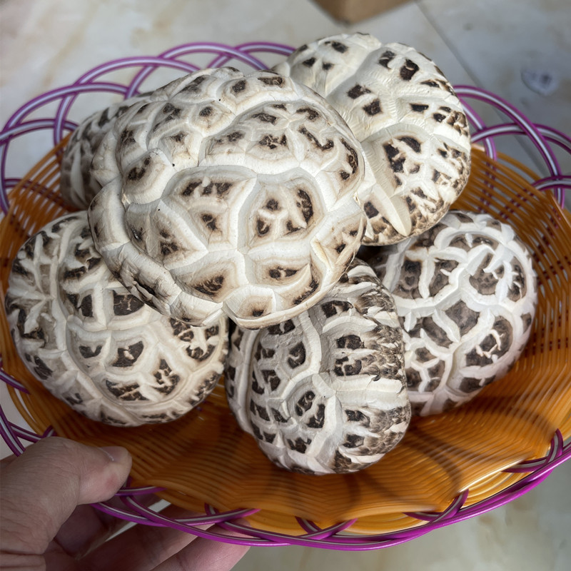 特大花菇王8-10公分 随州特产厚肉香菇500克包邮