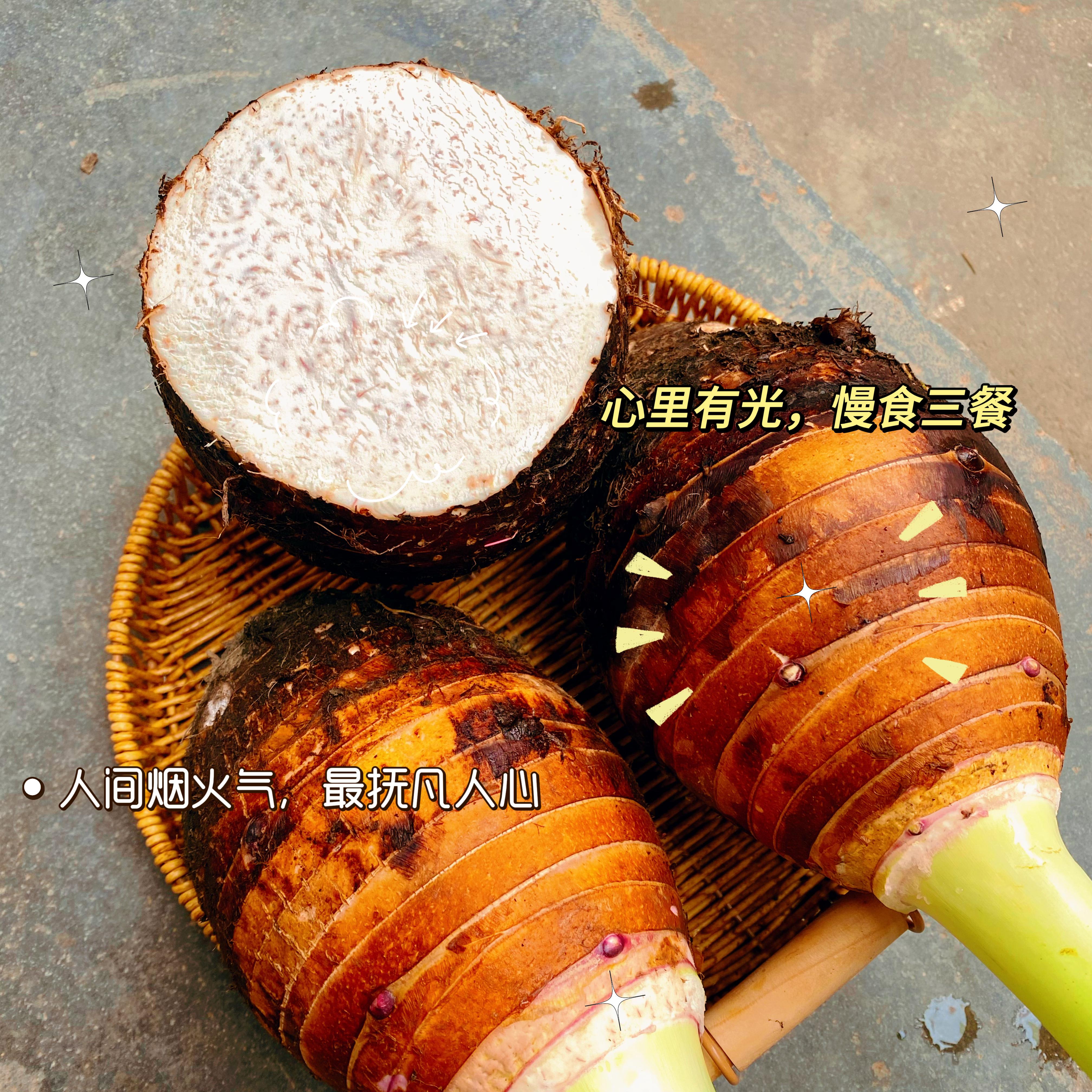 长汀槟榔芋新鲜现挖现发产地直发粉粉糯糯芋头香芋5斤顺丰包邮