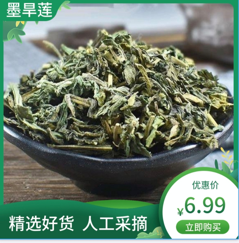 旱莲草送女贞子中药墨旱莲乌发白发野生女贞子搭配旱莲草洗发