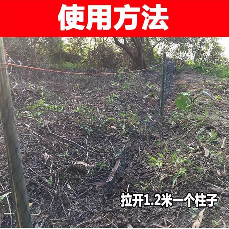 户外防蛇网加粗尼龙线新型防长虫网防护网专业抓防网养殖果园网