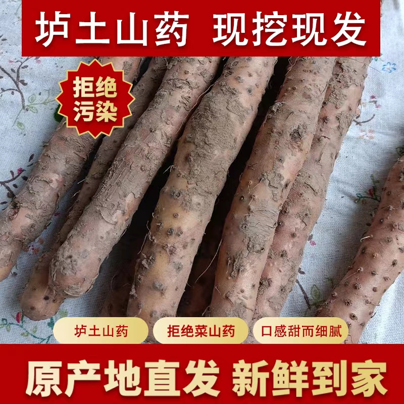 河南焦作温县正宗新鲜铁棍垆土铁棍山药 山药香甜