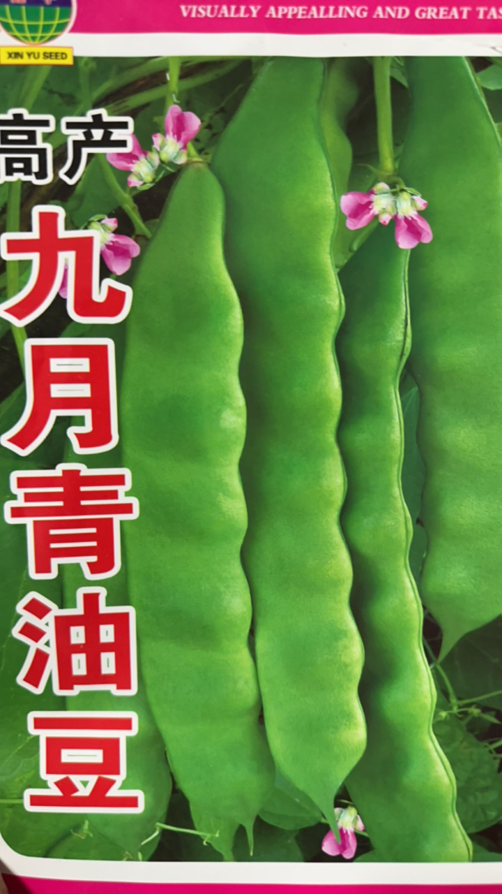九月青油豆角（50克）