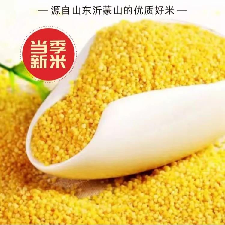 【鑫鑫专属】沂蒙山农家小米5斤
