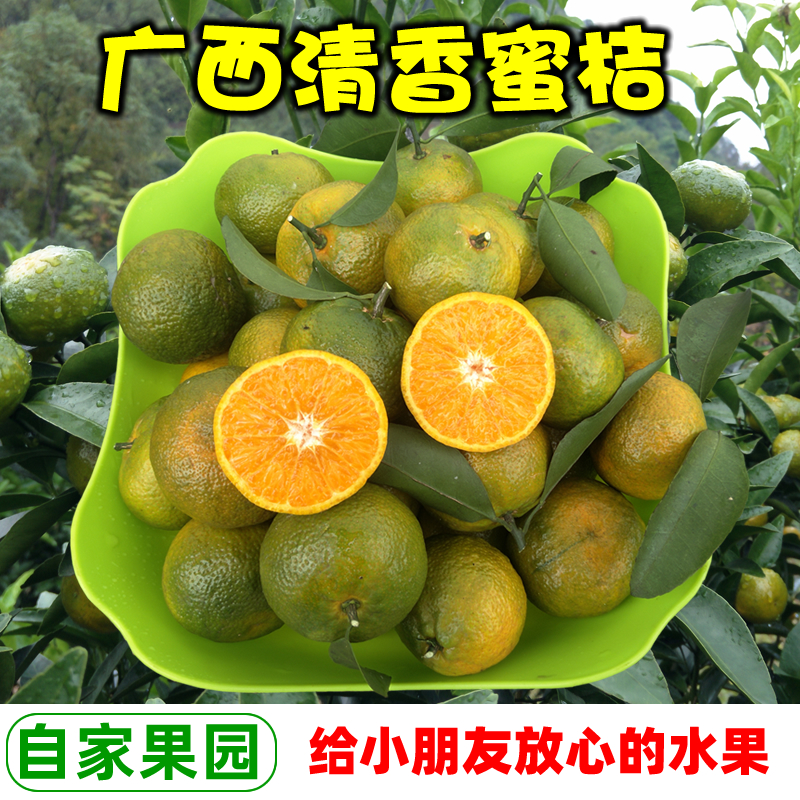 广西桂林清香蜜桔纯甜无酸巴西柑初恋果越南茶橘应季水果