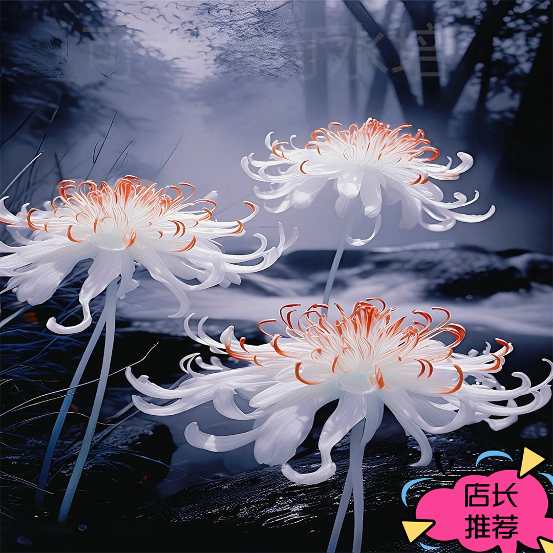 稀有曼珠沙华【冰火】彼岸花水培花卉植物种植花开耐寒耐热四季开