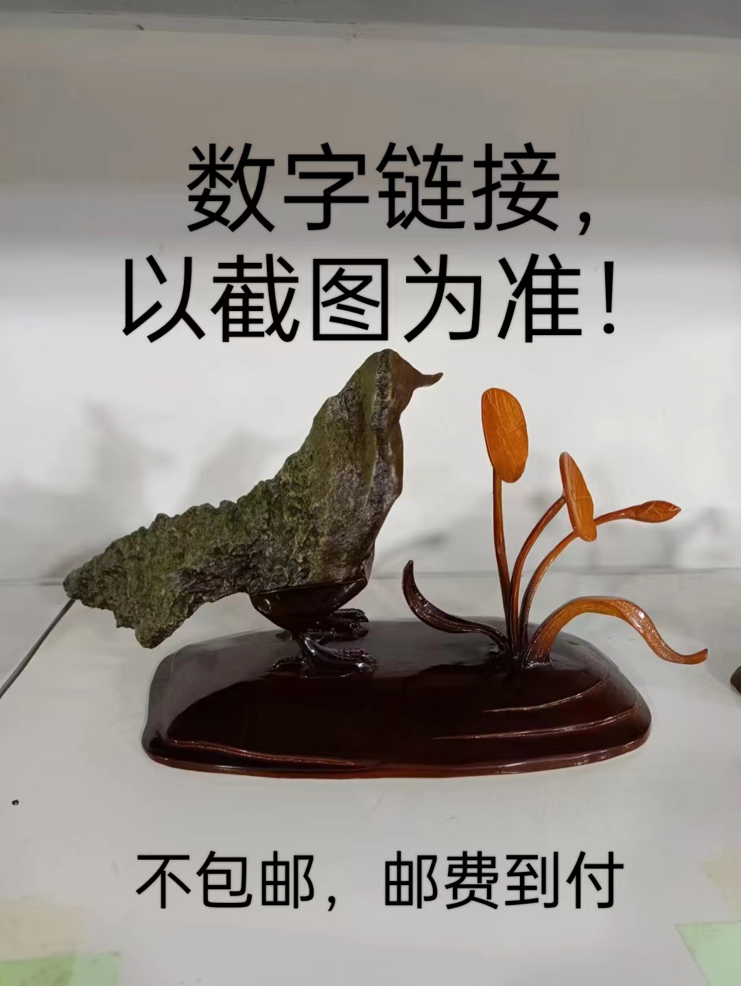 戈壁大漠沙尔湖沙尔泊奇石石捡石异性(不包邮）