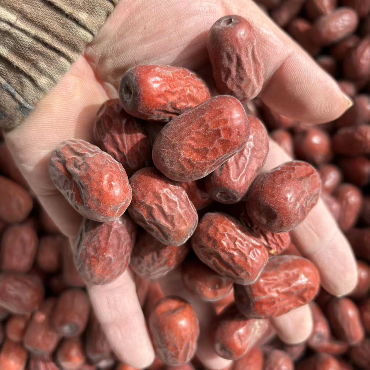 新疆和田大枣（小三级）介意勿拍5斤包邮