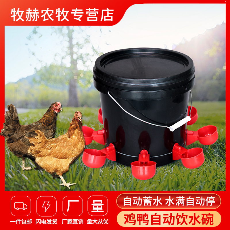 鸡用饮水碗家禽全自动饮水器养殖鸡鸭鹅鸽子鹌鹑喝水碗鸡喂水神器