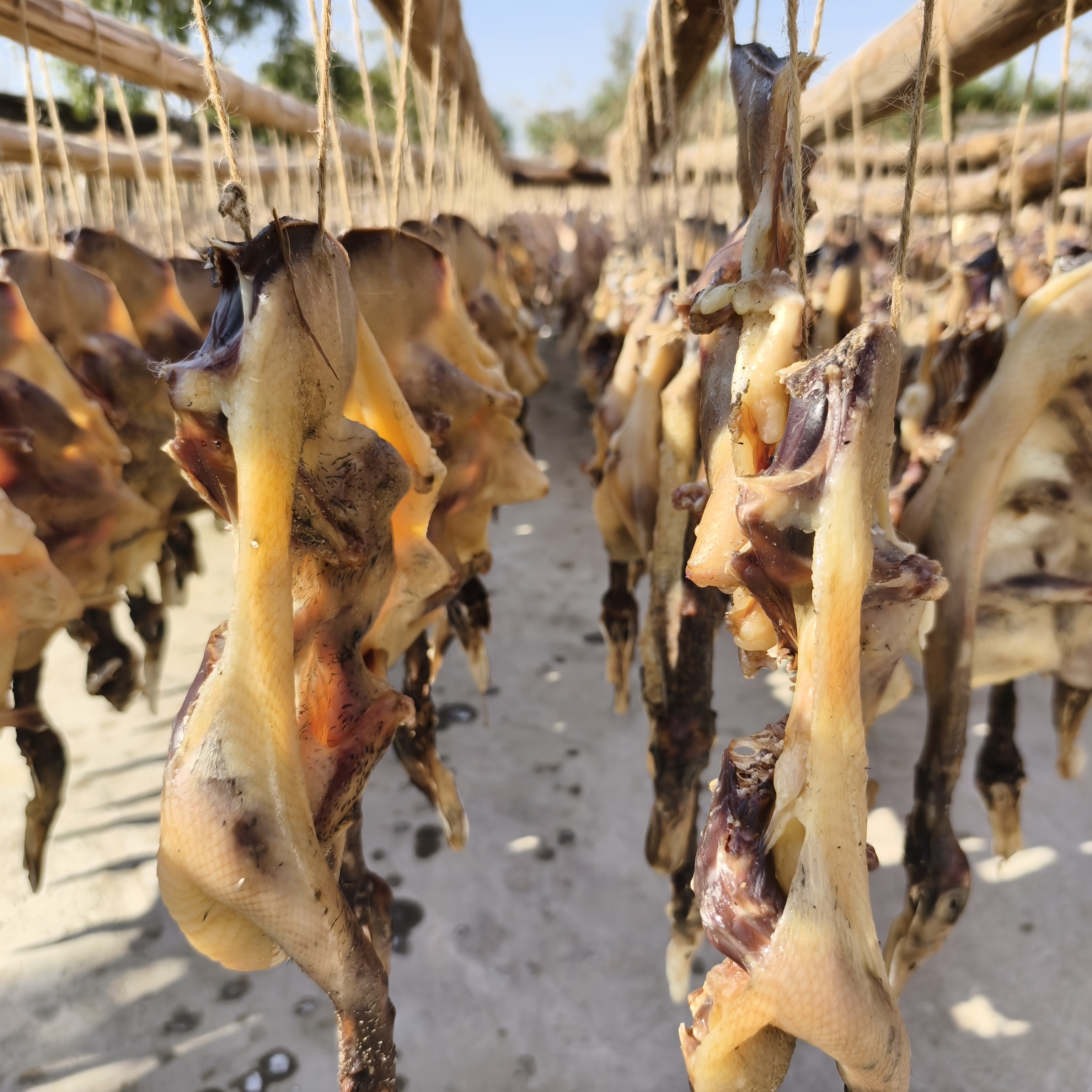 火哥精选余干富湾板鸭