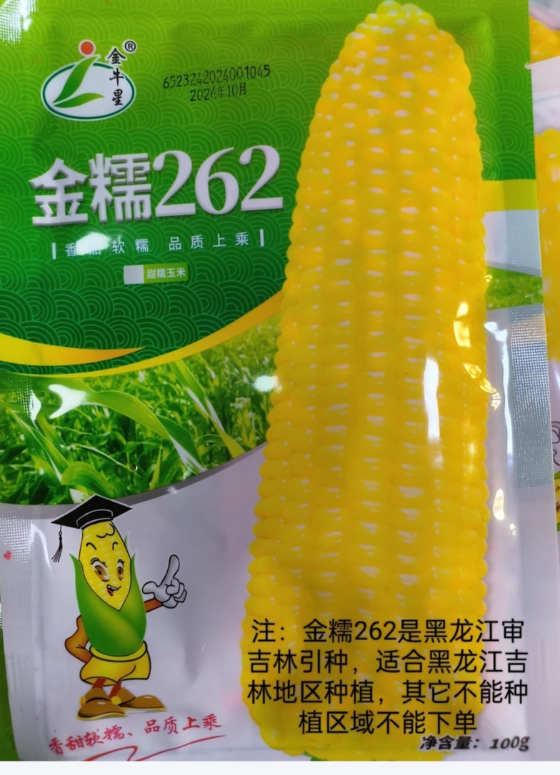 金糯262拍3单送香菜种子