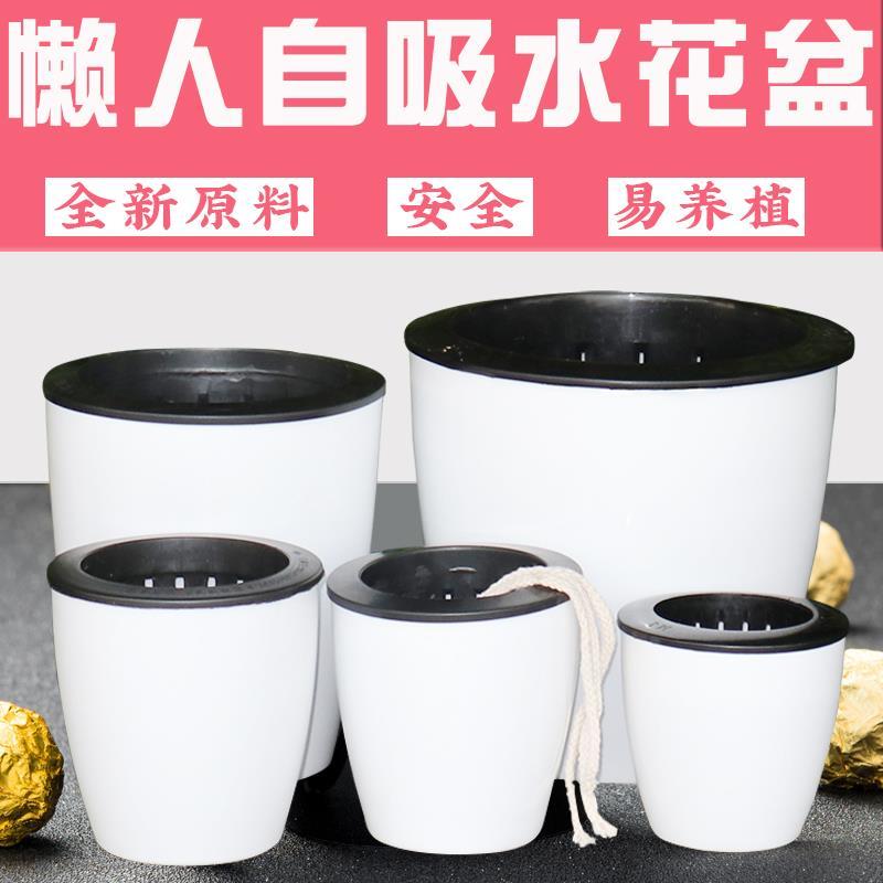 懒人花盆自动吸水绿萝用懒人盆吊兰水培自吸盆塑料吸水盆环保耐用