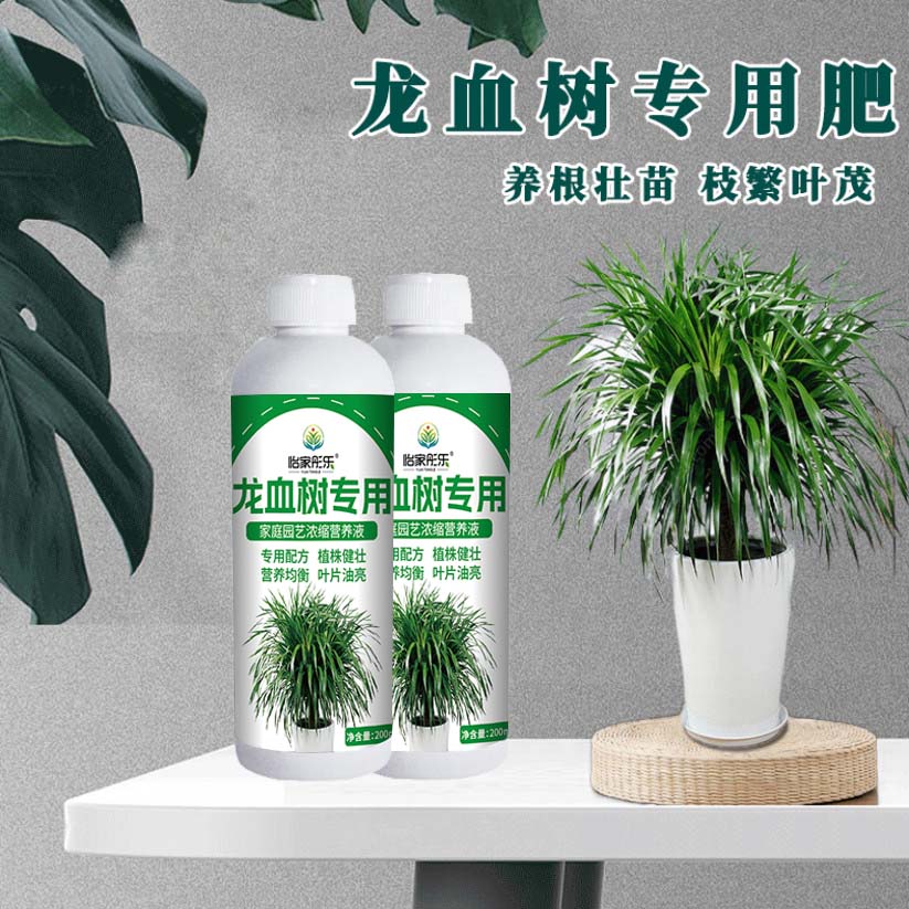 【龙血树专用】肥花肥料绿植烂根促生根黄叶掉叶微量元素氮磷钾生长