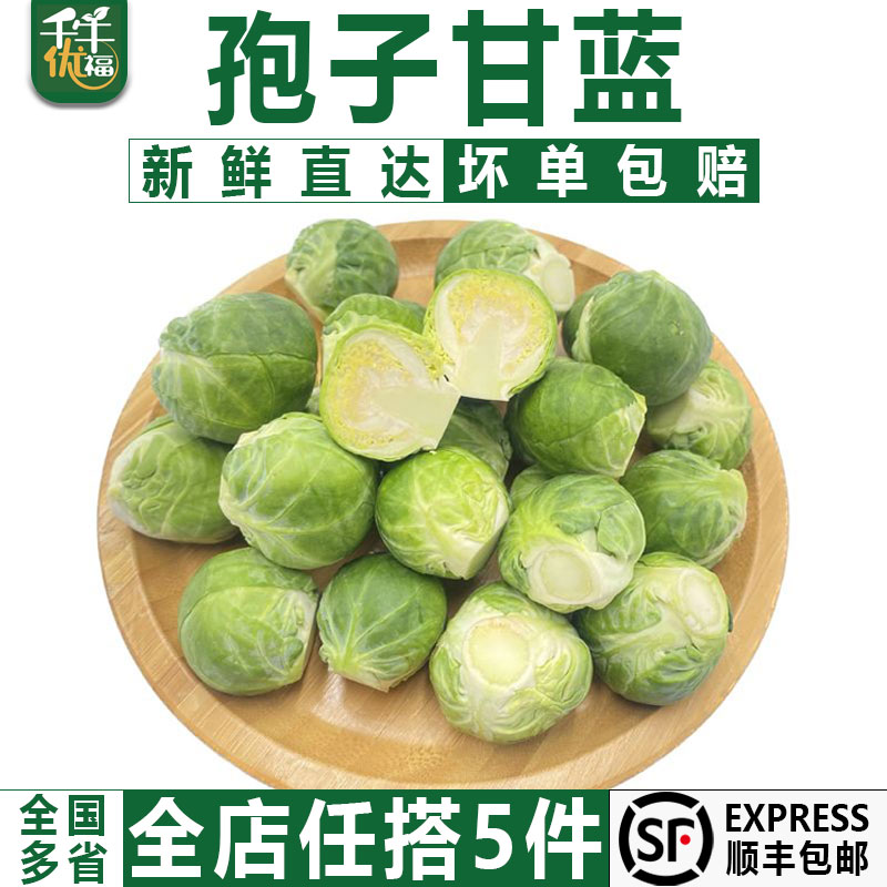 千牛优福孢子甘蓝500g 新鲜抱子甘蓝球芽甘蓝小包菜卷心甘蓝菜