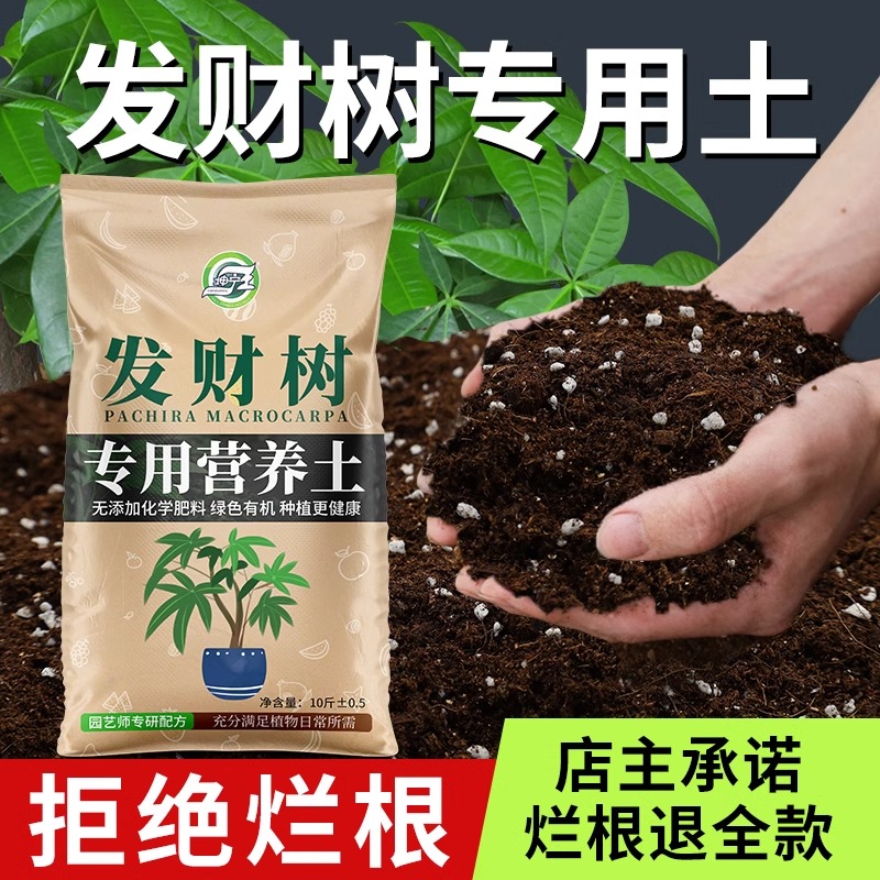 发财树专用土营养土花土发财树肥料专用肥土盆栽绿植种植养花土壤