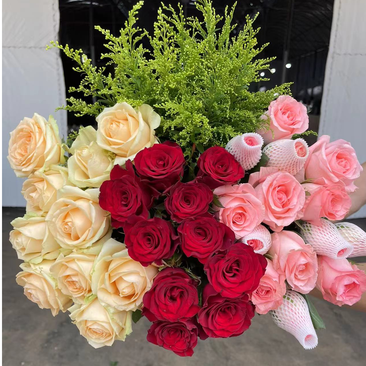 【爆款组合】香槟10枝+ 粉玫瑰10枝+红玫瑰10枝+配草5枝 云南鲜花
