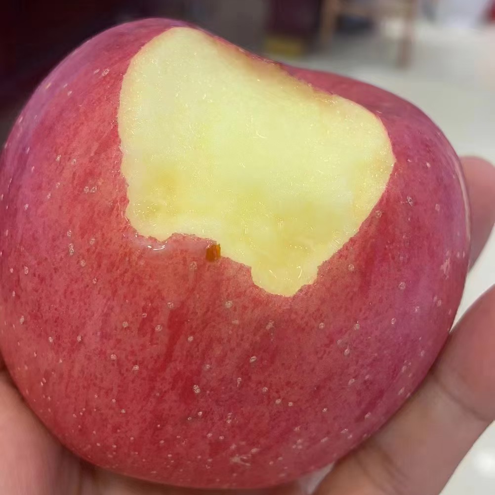 陕西红富士苹果，农家果，皮薄肉厚，脆甜多汁，新鲜应季