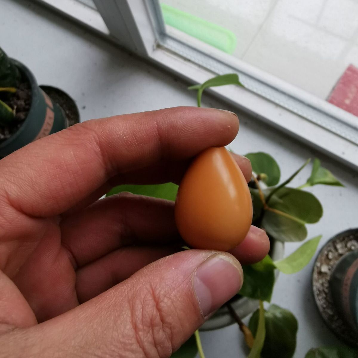 释迦菩提果老果佛心果彩色空心菩提金包玉佛灯果金灯菩提吊坠原籽