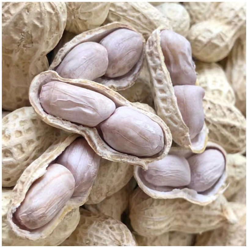 龙岩花生水煮白晒酥脆紫衣湿烤蒜香五香带壳七彩坚果炒货闽西特产