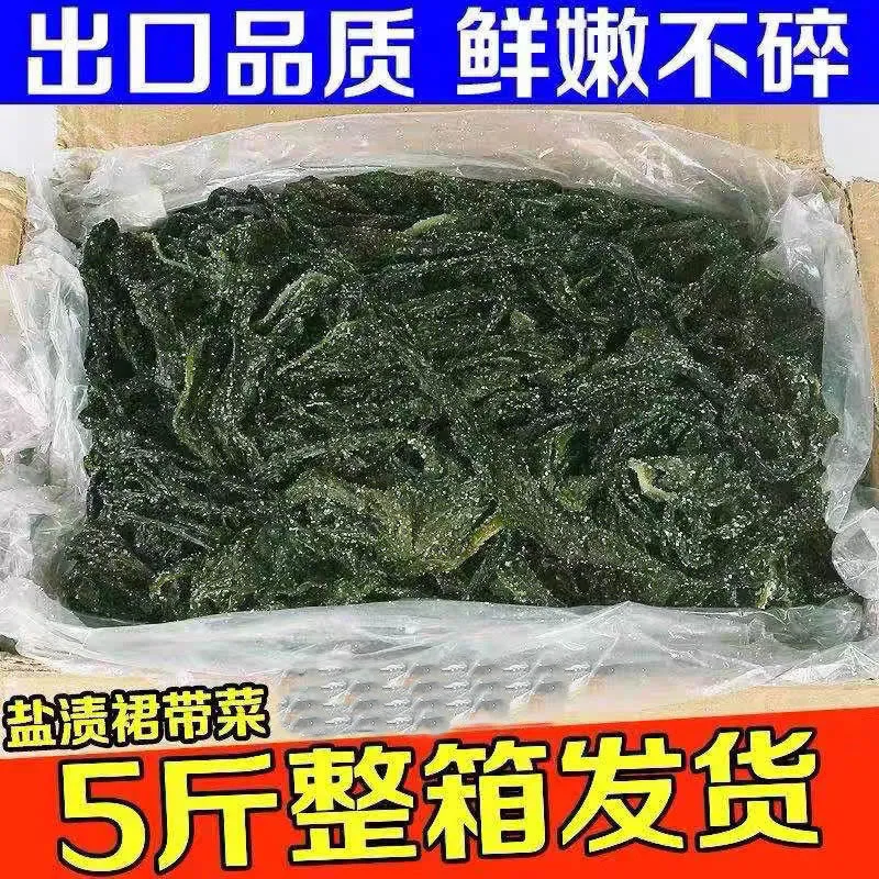 【5斤海带苗】无沙少盐裙带菜海带苗海白菜海菜嫩正宗新鲜火锅食材