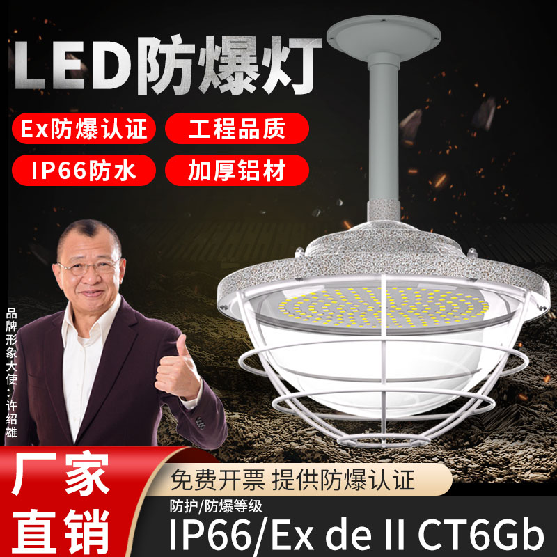 国标LED防爆灯工厂房车间照明灯灯罩仓库灯隔爆型灯专用加油站灯