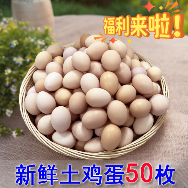 【整箱50枚】山林散养土鸡蛋新鲜鸡蛋营养健康每日甄选40-50克鲜蛋