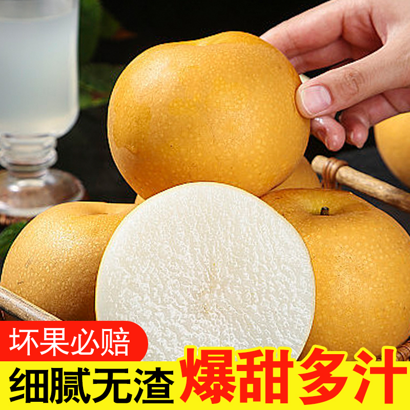 山东莱阳秋月梨4.5斤装新鲜口感细腻香甜汁水多汁爽口皮薄