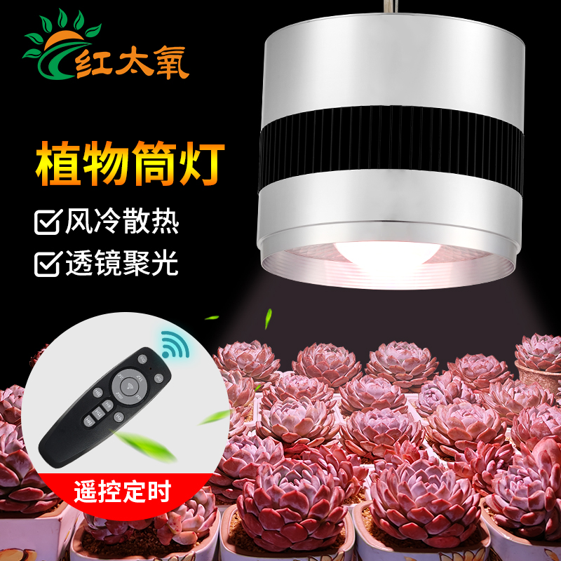 红太氧全光谱植物生长灯风冷球泡筒灯防水飞碟家用法师多肉补光灯