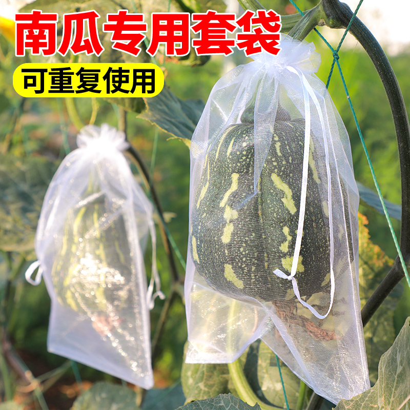 南瓜套袋防虫袋专用网袋无纺布防鸟袋子西瓜冬瓜柚子水果蔬果网套
