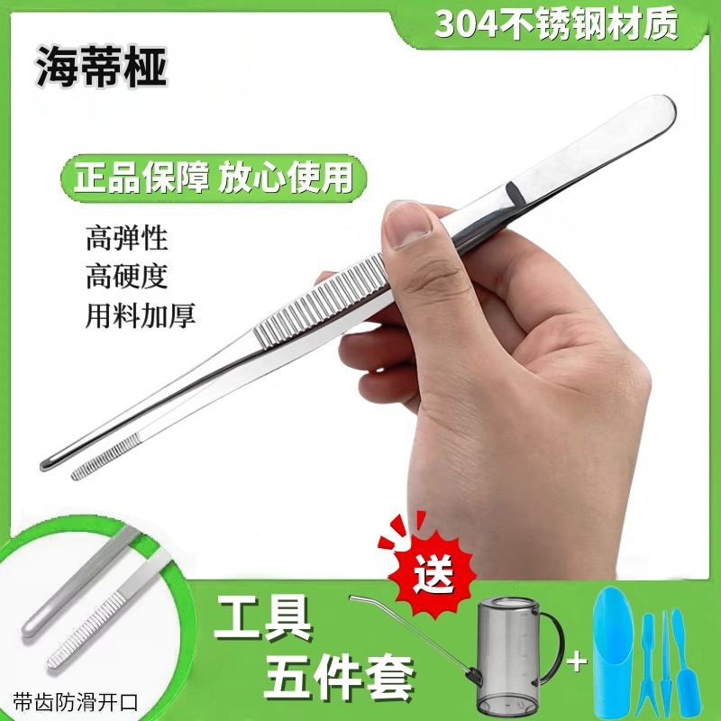海蒂桠月季花加厚镊子植物防滑多肉修根理枯叶种植送工具5件套