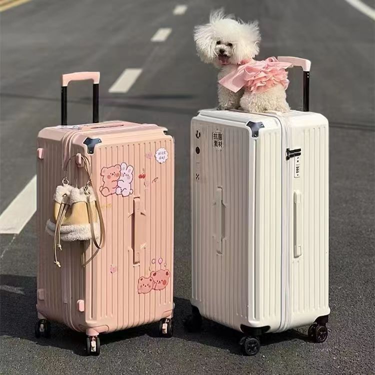 2022新款超大容量学生行李箱女网红新款ins男旅行箱拉杆密码箱子