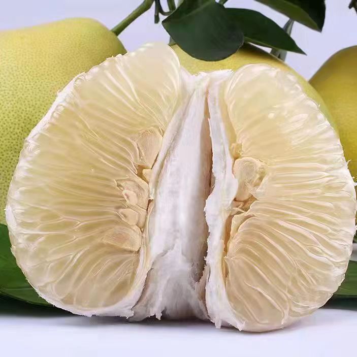 怀化安江雪峰小苦柚药柚应季水果带箱五斤发货