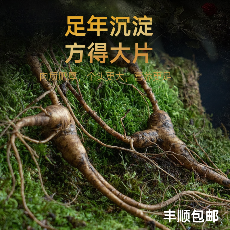 新鲜人参营养送人大片深山品质