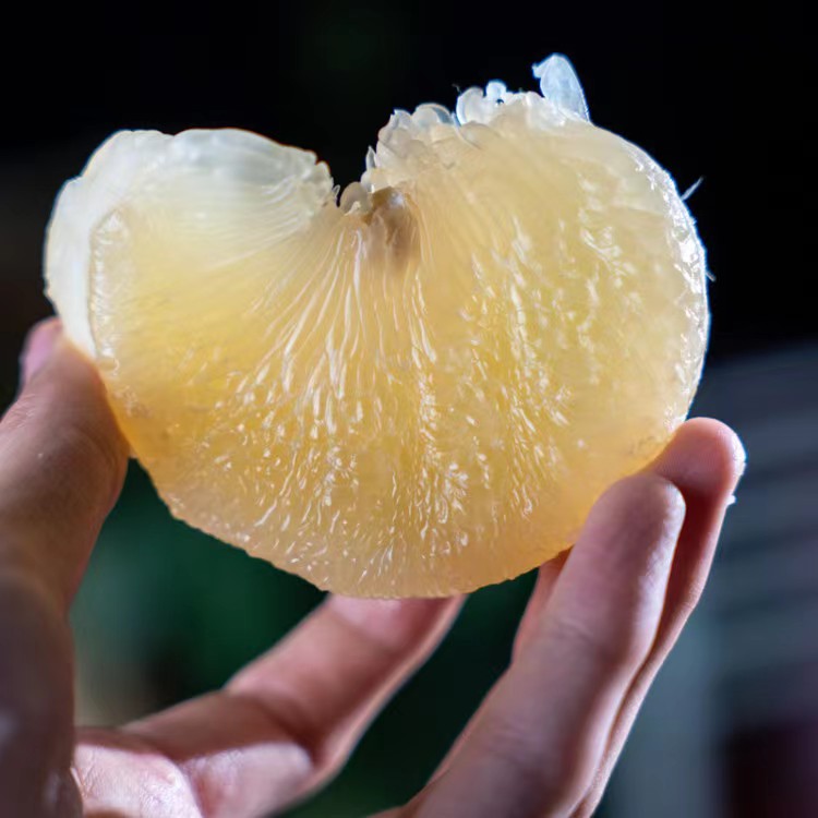 【玉环文旦柚】2025 玉环文旦产地直达9甜1酸黄金比例柚子2.5-20斤