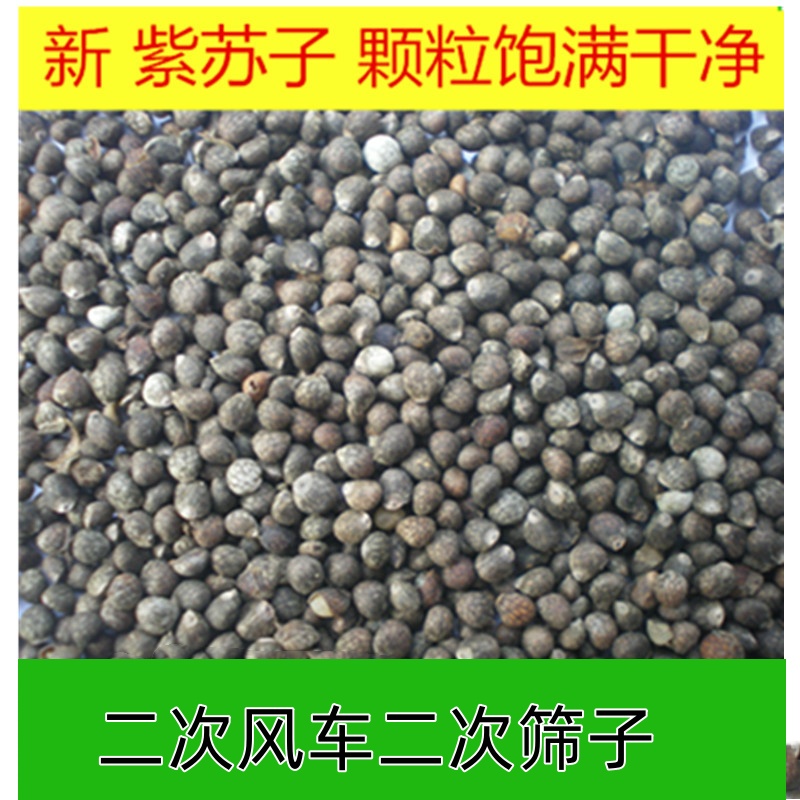 鸟食鸟粮紫苏子白苏子黑尖玉鸟金青芙蓉鸟大金黄灰燕丝雀文鸟鹦鹉
