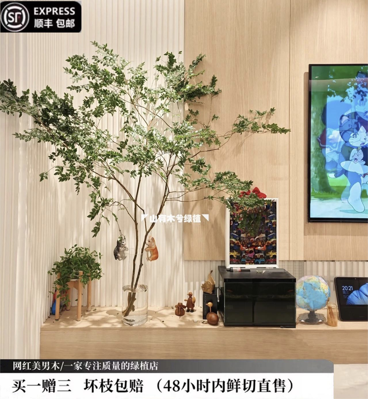 北欧风ins美男树水培绿植物鲜切枝马醉木吊钟平替室内绿植鲜花