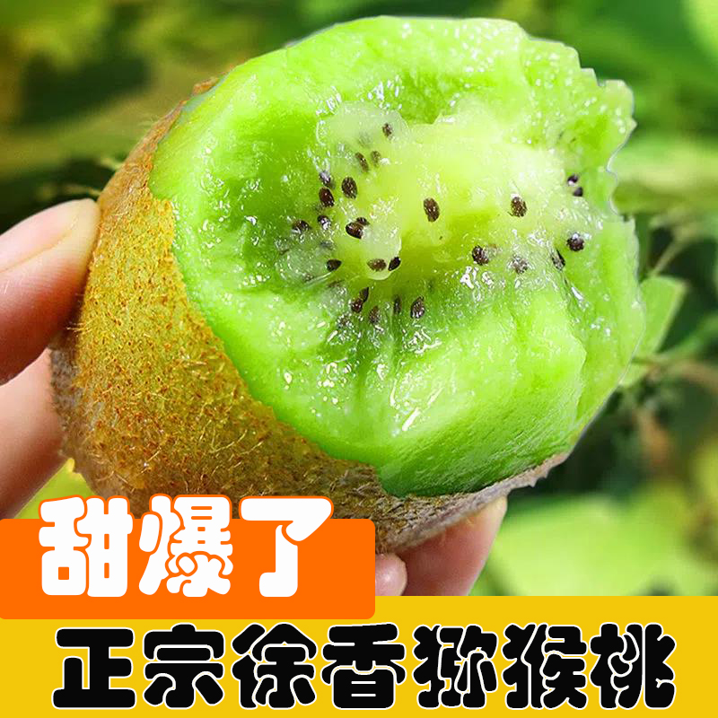 正宗陕西徐香绿心猕猴桃新鲜软糯香甜多汁奇异果应季送礼盒装水果