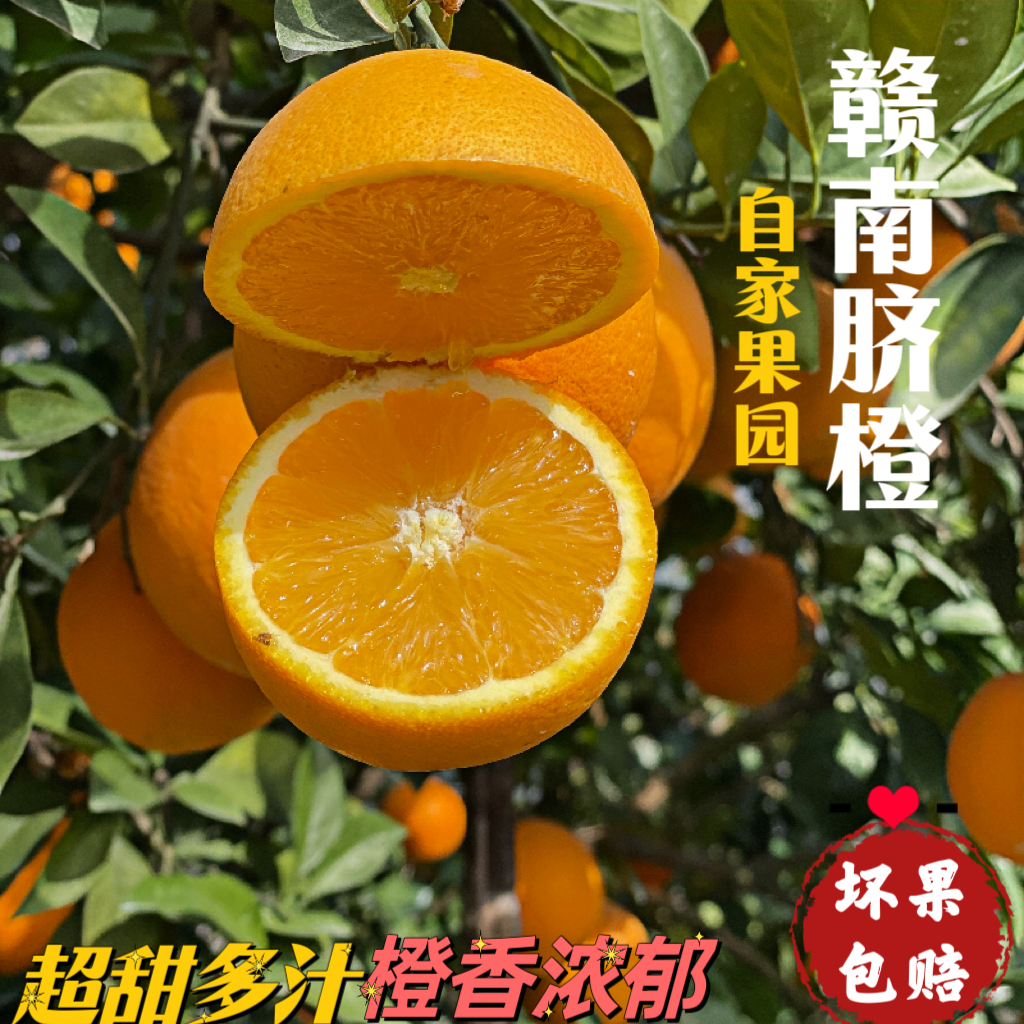 赣南脐橙新鲜水果果园现摘现发皮薄汁多香甜可口10斤包邮摘果发货